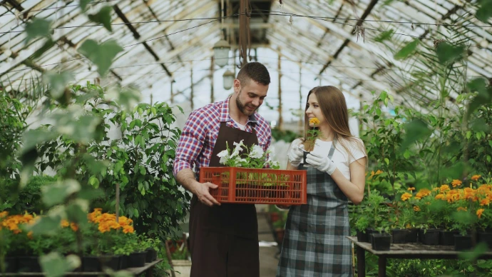 Couple working together in a greenhouse nursery